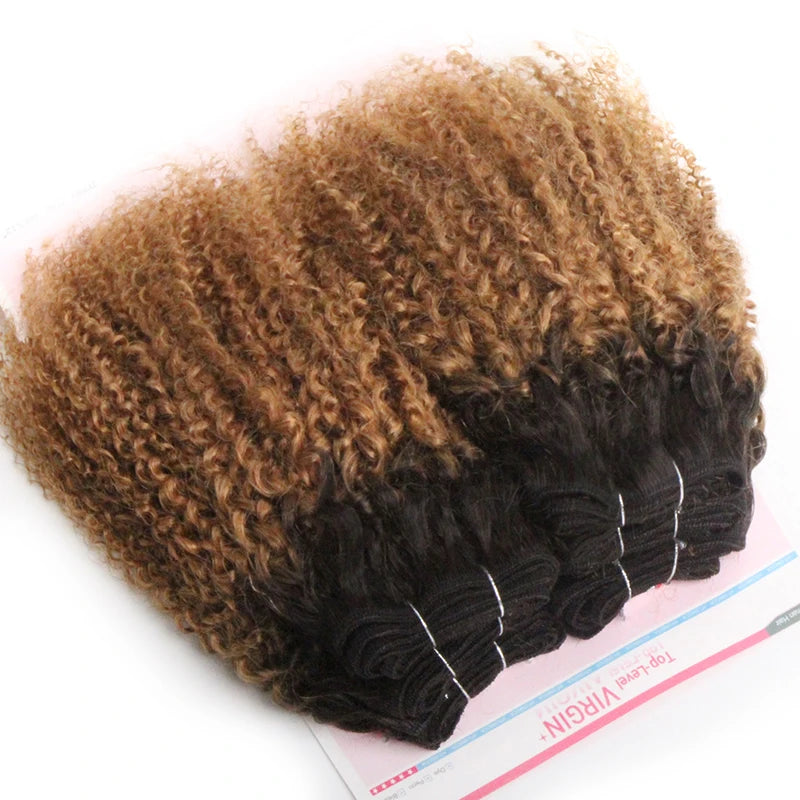 Curly 6 Bundles Deal Human Hair Bundles For Women Raw Indian Hair 100% Virgin Human Hair Weave Extension